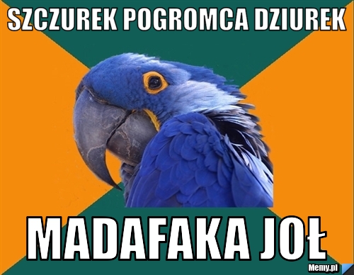 Szczurek pogromca dziurek Madafaka joł