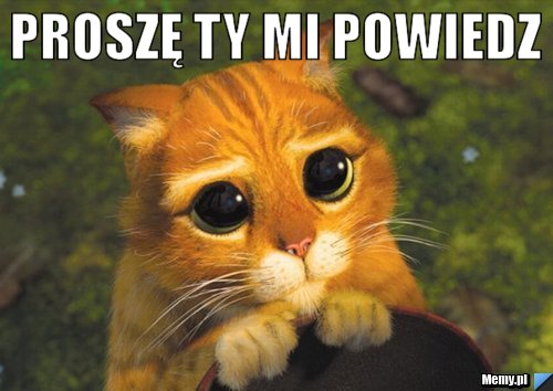 Proszę Ty mi powiedz 
