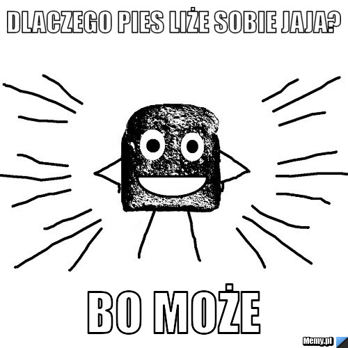 Dlaczego pies liże sobie jaja? bo może
