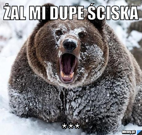 Żal mi dupe ściska bo chyba w dupe dostałem patyka