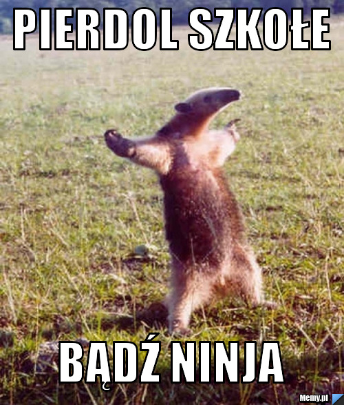 Pierdol szkołe Bądź Ninja
