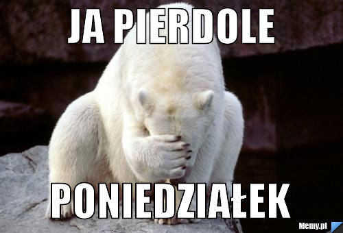 Poniedzia?ek Poniedziałek - Memy.pl