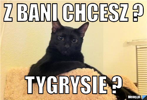 Z bani chcesz ? Tygrysie ?