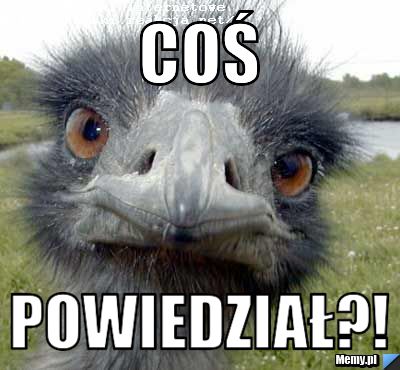 Coś  powiedział?!