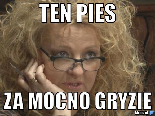 Ten pies  za mocno gryzie 