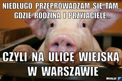 Niedługo  przeprowadzam  się  tam,  gdzie  rodzina  i  przyjaciele... czyli  na  ulicę  wiejską  w  warszawie