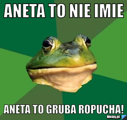 Aneta To Nie Imie Aneta to Gruba Ropucha!