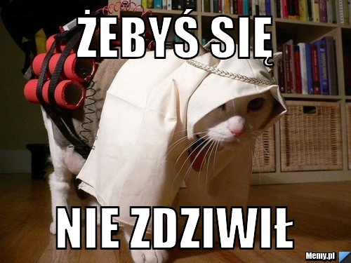 żebyś się nie zdziwił