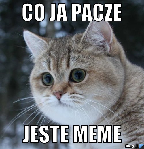 Co ja pacze jeste meme