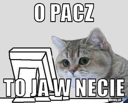 O pacz  to ja w necie