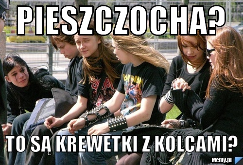 Pieszczocha? to są krewetki z kolcami?