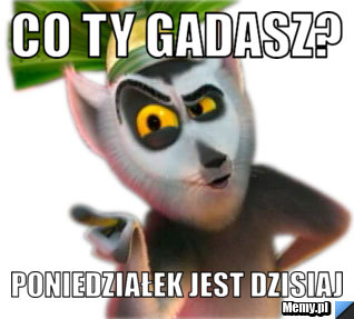 CO TY GADASZ? PONIEDZIAŁEK JEST DZISIAJ