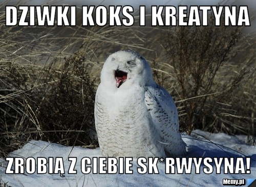 Dziwki koks i kreatyna  zrobią z ciebie sk*rwysyna! 