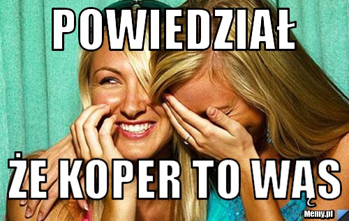 Powiedział że koper to wąs