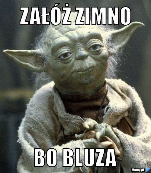 Załóż zimno bo bluza