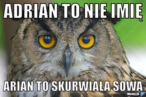 Adrian to nie imię Arian to skurwiała sowa