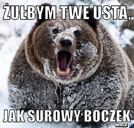 Żułbym twe usta,   jak surowy boczek