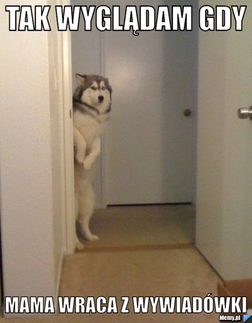 Tak wyglądam gdy mama wraca z wywiad&oacute;wki