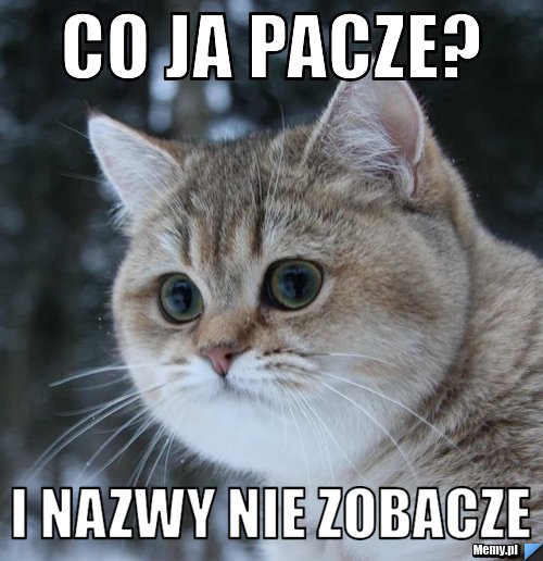 Co ja pacze? I nazwy nie zobacze