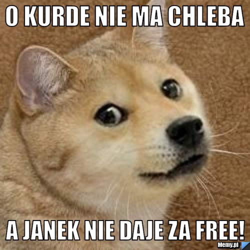 O Kurde Nie Ma Chleba A Janek Nie Daje Za Free Memy Pl