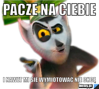 Pacze na ciebie i nawet mi się wymiotować nie chcę