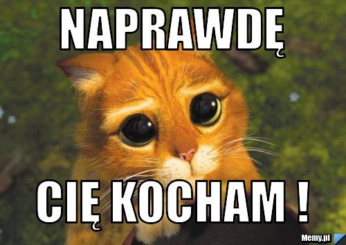 Naprawdę Cię Kocham !