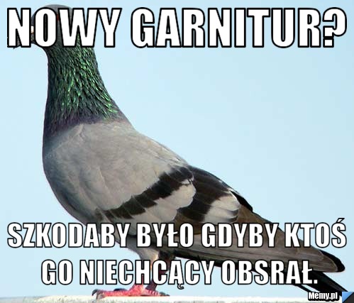 Nowy garnitur? Szkodaby było gdyby ktoś go niechcący obsrał.