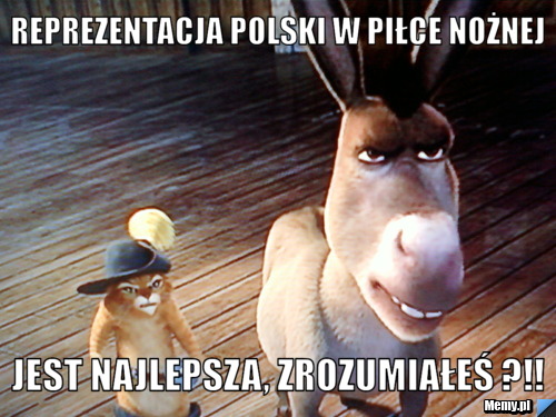 Reprezentacja Polski w piłce nożnej  jest najlepsza, zrozumiałeś ?!!