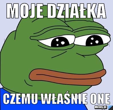 Moje działka Czemu właśnie one