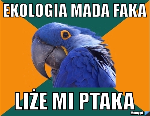 Ekologia mada faka  liże mi ptaka