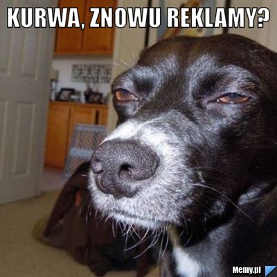 Kurwa, znowu reklamy? 
