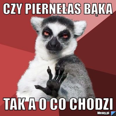 Czy piernełas bąka tak a o co chodzi