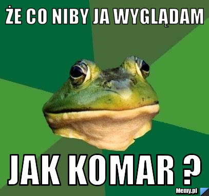 że co niby ja wyglądam  jak komar ?