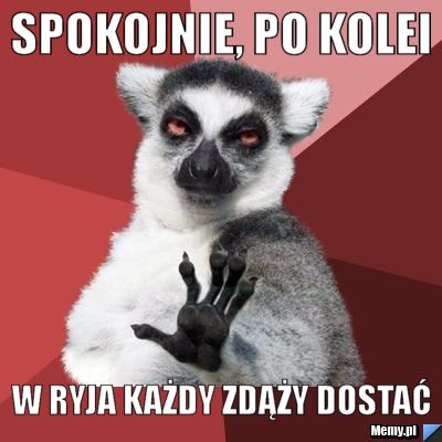 Spokojnie, po kolei w ryja każdy zdąży dostać
