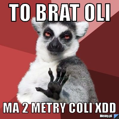 TO BRAT OLI MA 2 Metry COli xdd