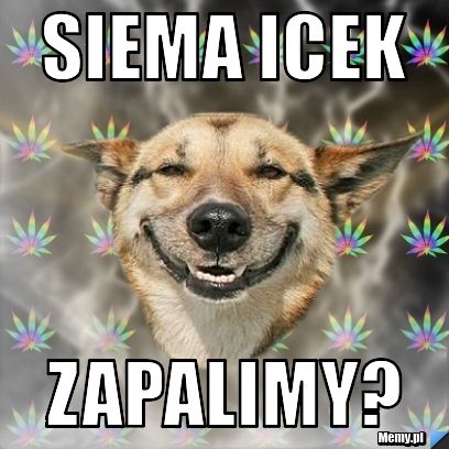 Siema Icek Zapalimy?