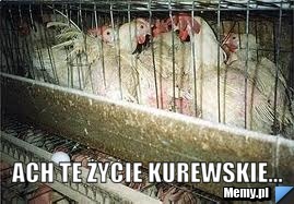  ach te życie kurewskie...