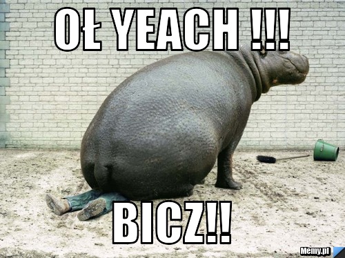 Oł yeach !!!  bicz!!