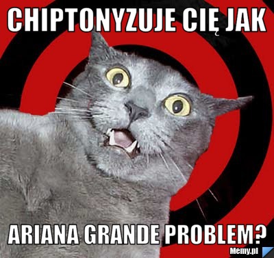 Chiptonyzuje cię jak  Ariana grande problem?