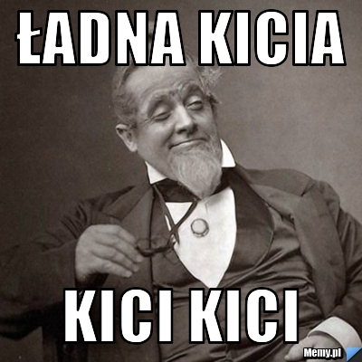 ładna kicia kici kici