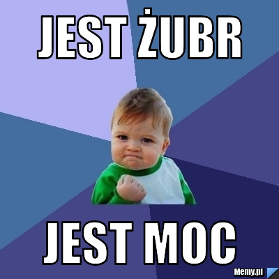 Jest Żubr Jest moc