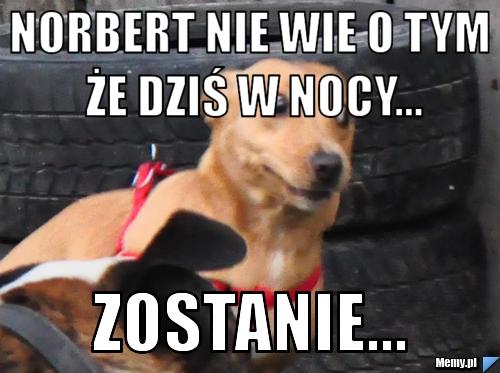 Norbert Nie Wie O tym Że Dziś W Nocy... ZOSTANIE...