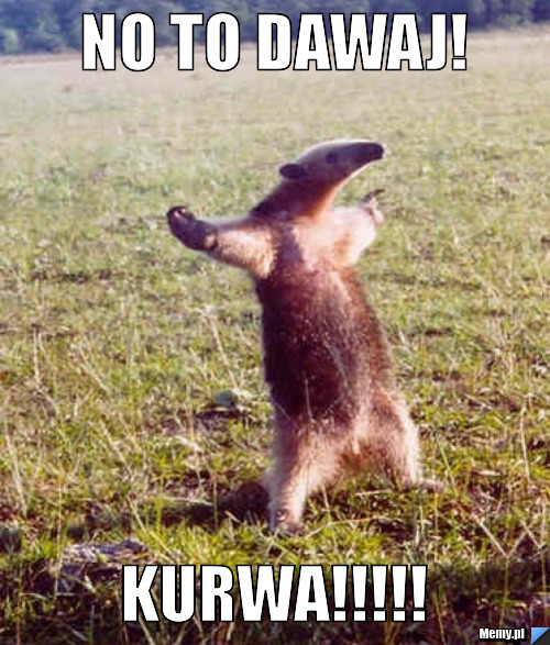 NO TO DAWAJ! KURWA!!!!!