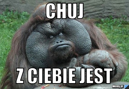 Chuj  z ciebie jest