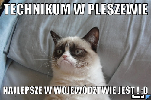 Technikum w PLeszewie Najlepsze w województwie jest ! :D