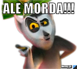 ALE MORDA!!! 