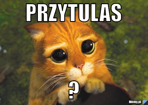 Przytulas ?