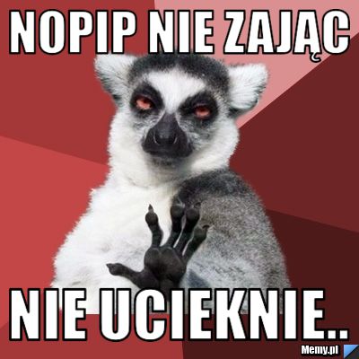 Nopip nie zając Nie ucieknie..