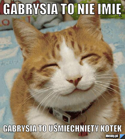 Gabrysia to nie imię  Gabrysia to uśmiechnięty kotek 