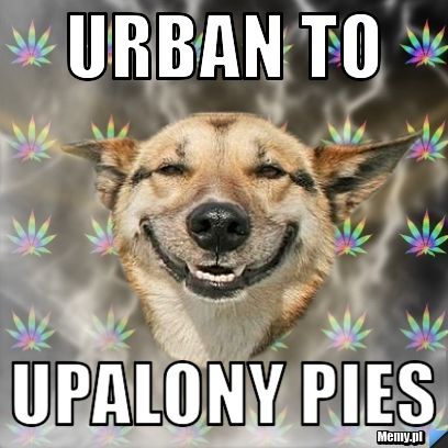 Urban to upalony pies